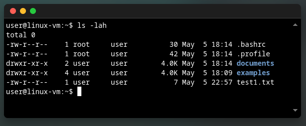 `ls` command with additional flags