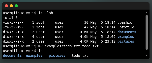 Moved a file by using `mv`